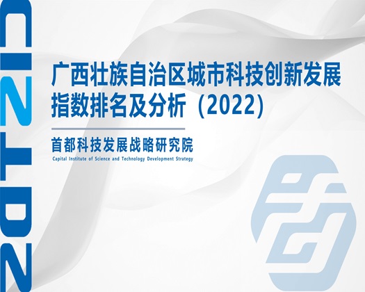 大胸大鸡鸡啊哈～【成果发布】广西壮族自治区城市科技创新发展指数排名及分析（2022）